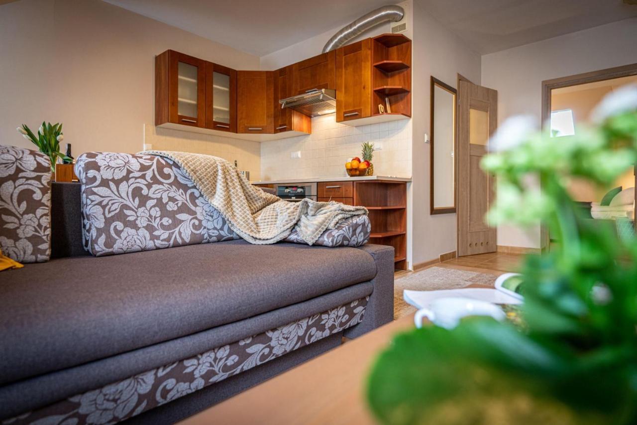 Apartment Apart-styl Zakopane- Brzozowa, Centrum Miasta