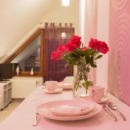 Apart-Styl Apartamenty Zakopane- Brzozowa, Centrum Miasta Exterior photo