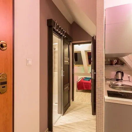 Apart-Styl Apartamenty Zakopane- Brzozowa, Centrum Miasta Exterior photo