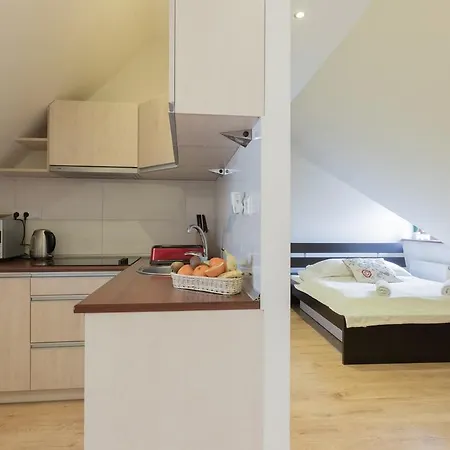 Apart-Styl Apartamenty Zakopane- Brzozowa, Centrum Miasta Exterior photo