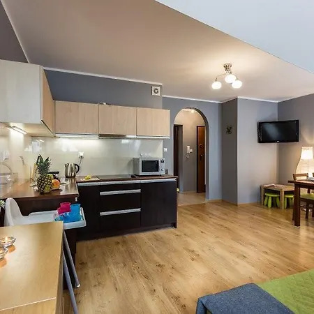 Apart-Styl Apartamenty Zakopane- Brzozowa, Centrum Miasta Exterior photo