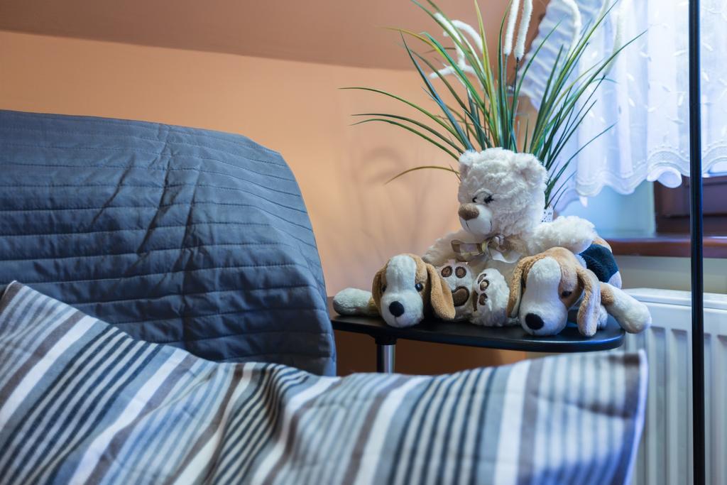 Apart-styl Ul Brzozowa Apartament Zakopane
